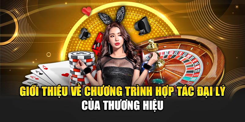 Giới thiệu về chương trình hợp tác đại lý của thương hiệu