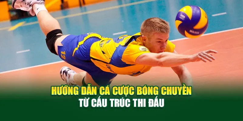 Hướng dẫn cá cược bóng chuyền từ cấu trúc thi đấu