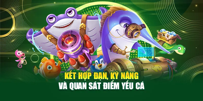 Kết hợp đạn, kỹ năng và quan sát điểm yếu cá
