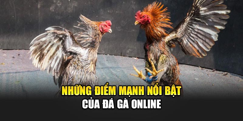 Những điểm mạnh nổi bật của đá gà 32Win online